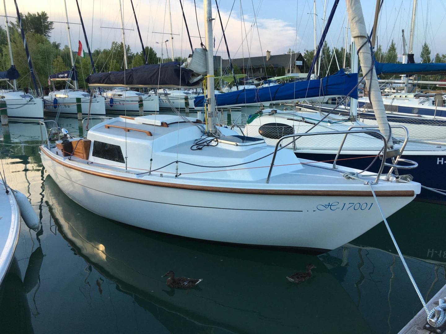 Rebel Mark II – Bríz